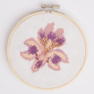 RHS Cross Stitch Kit Peruvian Lily